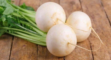 Vše o kultuře bílé ředkve: vlastnosti, výhody a pěstování